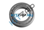 ��������� ���� ��������� ������