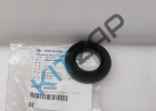 ������� ������� ���� ����� (����)